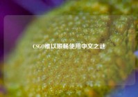 CSGO难以顺畅使用中文之谜