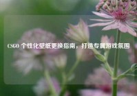 CSGO 个性化壁纸更换指南，打造专属游戏氛围