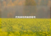 代码深处的温柔暗号