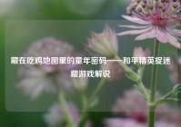 藏在吃鸡地图里的童年密码——和平精英捉迷藏游戏解说