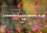 王者荣耀里藏在战场的英文通用密码，附一键设置！