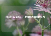 揭秘PUBG暗金M4，虚拟世界的独特魅力