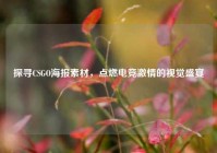 探寻CSGO海报素材，点燃电竞激情的视觉盛宴