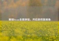 解锁Steam全屏体验，开启游戏新视角