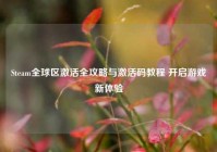 Steam全球区激活全攻略与激活码教程 开启游戏新体验