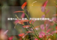 探索PUBG Lite官网，开启轻量吃鸡体验