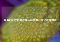 掌握CSGO准心保存技巧与参数，优化游戏体验