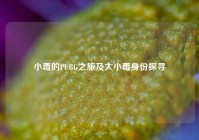 小毒的PUBG之旅及大小毒身份探寻