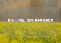 琼与CSGO印花，虚拟世界中的热爱绽放
