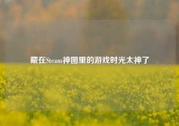 藏在Steam神图里的游戏时光太神了