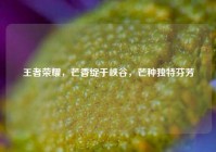 王者荣耀，芒香绽于峡谷，芒种独特芬芳