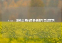 Steam，游戏世界的奇妙枢纽与正版官网