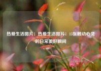 热爱生活图片：热爱生活图片：15张触动心灵的日常美好瞬间