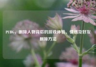 PUBG，删除人物背后的游戏体验、情感及好友删除方法
