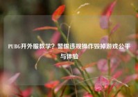 PUBG开外服教学？警惕违规操作毁掉游戏公平与体验