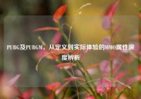 PUBG及PUBGM，从定义到实际体验的MMO属性深度辨析