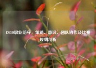 CSGO职业防守，策略、意识、团队协作及比赛规则剖析