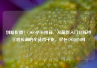 别瞎折腾！CSGO小王推荐，从萌新入门到练枪手感拉满的全链路干货，尽在CSGO小f网