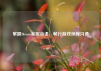 掌握Steam客服英语，畅行游戏保障沟通