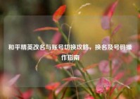 和平精英改名与账号切换攻略，换名及号码操作指南
