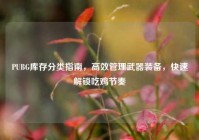 PUBG库存分类指南，高效管理武器装备，快速解锁吃鸡节奏