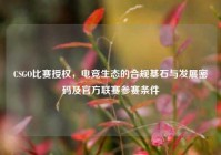 CSGO比赛授权，电竞生态的合规基石与发展密码及官方联赛参赛条件