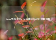 Steam交易卡顿，玩家痛点与平台优化困境