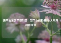 进不去王者荣耀别急！新手也能秒解的5大常见问题排查