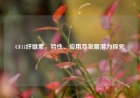 CF11纤维素，特性、应用及发展潜力探究