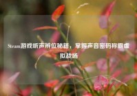 Steam游戏听声辨位秘籍，掌握声音密码称霸虚拟战场