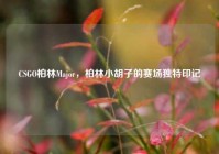 CSGO柏林Major，柏林小胡子的赛场独特印记