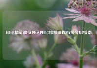 和平精英键位导入PUBG跨端操作衔接实用指南