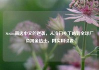 Steam商店中文的逆袭，从冷门补丁站到全球厂商淘金热土，附实用设置