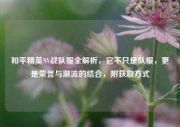 和平精英NV战队服全解析，它不只是队服，更是荣誉与潮流的结合，附获取方式