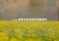 Steam 游戏中金钱修改问题探究