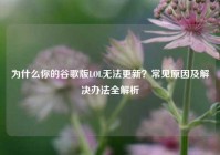 为什么你的谷歌版LOL无法更新？常见原因及解决办法全解析