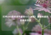 打开CSGO直接进外服怕VAC？别慌！真相和避坑指南全在这