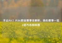 不止PGC！PUBG职业赛事全解析，核心赛事一览&官方名称科普