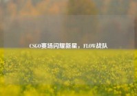 CSGO赛场闪耀新星，FLOW战队