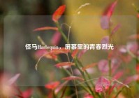 怪马Harlequin，屏幕里的青春烈光