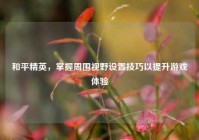 和平精英，掌握周围视野设置技巧以提升游戏体验