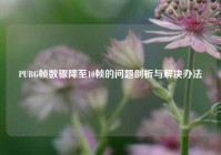 PUBG帧数骤降至10帧的问题剖析与解决办法