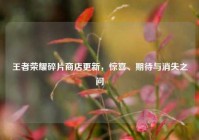 王者荣耀碎片商店更新，惊喜、期待与消失之问