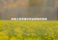 探秘王者荣耀中收益颇高的领域