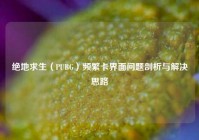 绝地求生（PUBG）频繁卡界面问题剖析与解决思路