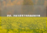 逆战，天吼与苍穹下的热血战歌天鹰