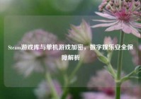 Steam游戏库与单机游戏加密，数字娱乐安全保障解析