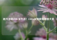 跑刀卡墙闪队友齐活！COD16笑到喷饭趣图大赏