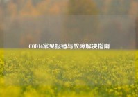 COD16常见报错与故障解决指南