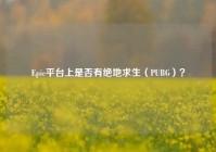 Epic平台上是否有绝地求生（PUBG）？